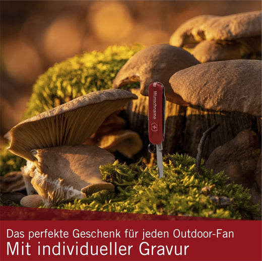 Victorinox Classic SD Taschenmesser mit Gravur - Victorinox