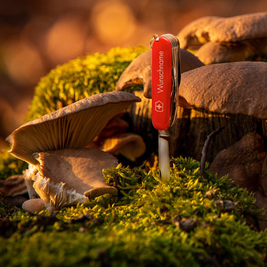 Victorinox Spartan Taschenmesser mit Gravur - Victorinox