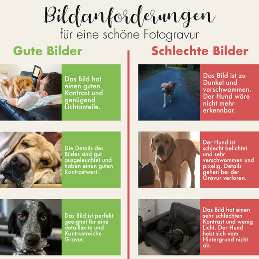 Weihnachtsgeschenk für Männer - Zippo® Geschenk Starter Set - Zippo mit Gravur Foto - Zippo