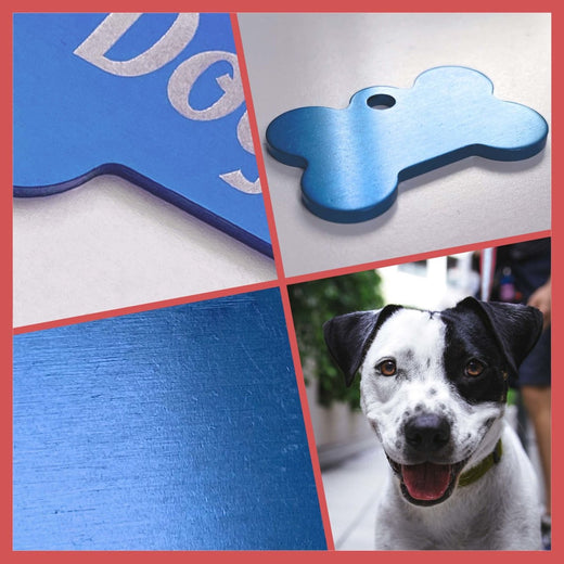 Hundemarke mit Gravur | personalisiert in blau  - Geschenkfreude