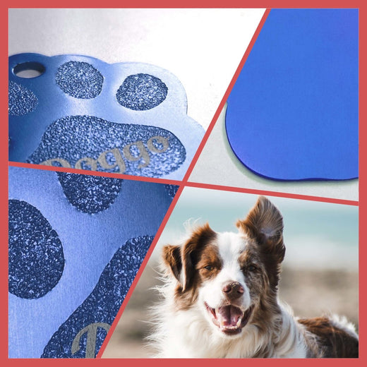 Hundemarke Pfote mit Gravur | personalisiert in blau  - Geschenkfreude