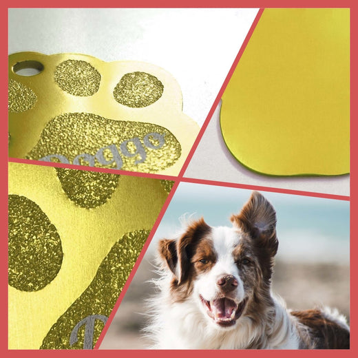 Hundemarke Pfote mit Gravur | personalisiert in gold  - Geschenkfreude